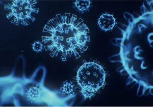Influenza A Viruses (H1N1 and H3N2)