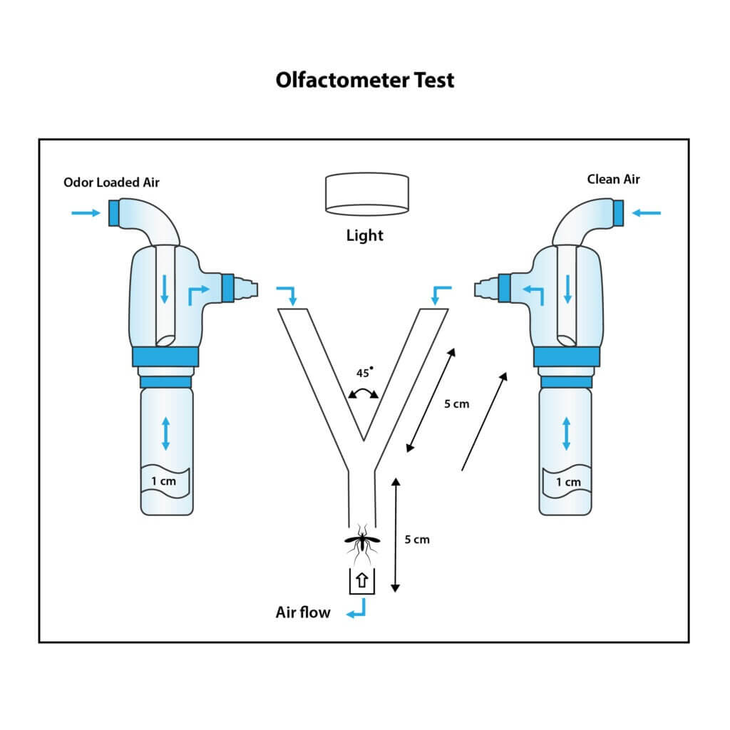 Infographics of Olfactometer Test