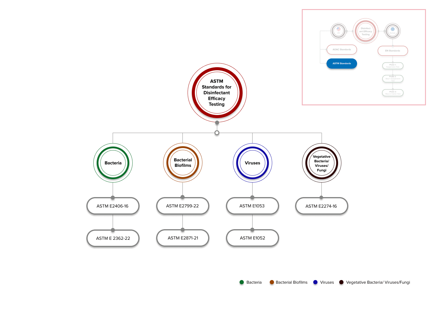 The Ultimate Guide to Disinfectant Testing