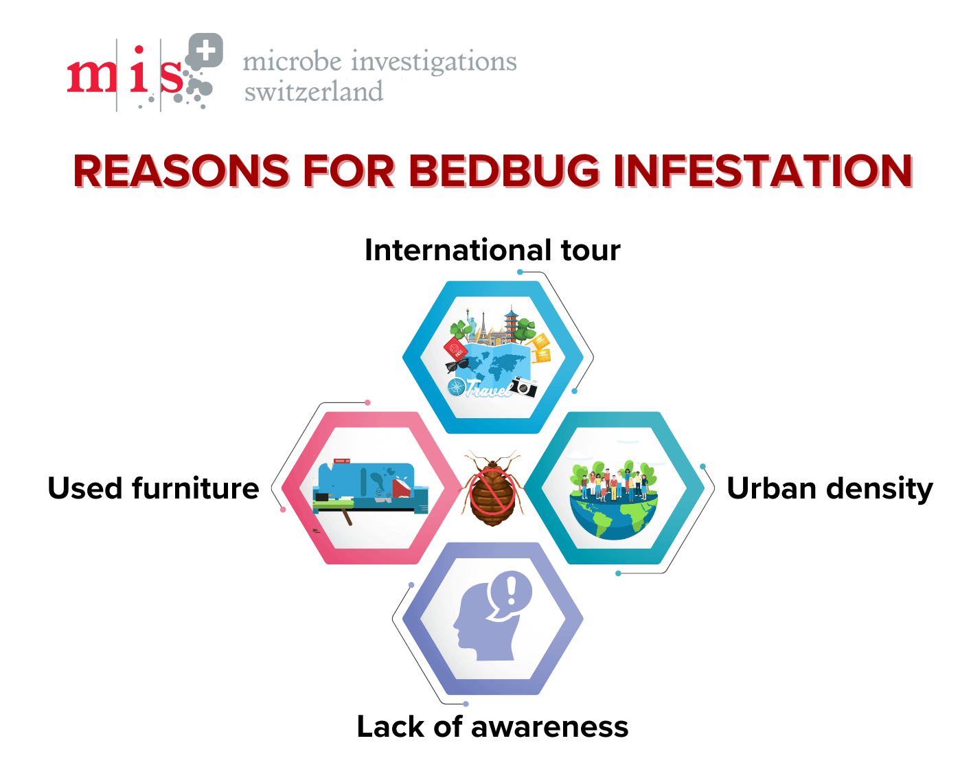 Top bedbug infested cities in the world and why