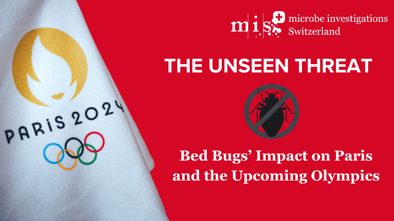 Bed Bug Infestation Impacts on Paris and the Upcoming Olympics