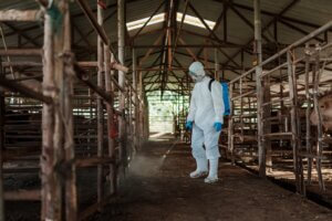 Health care worker disinfecting the sheds in veterinary environments