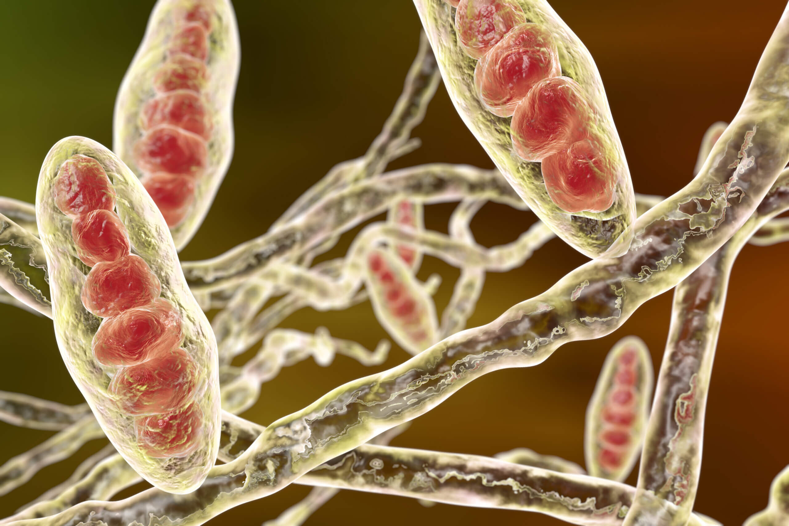 Trichophyton mentagrophytes Testing Standards Around the World