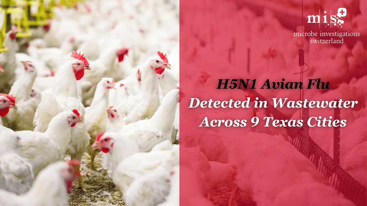 H5N1 Avian Flu Detected in Wastewater Across 9 Texas Cities