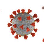 covid kp.2 variant corona virus