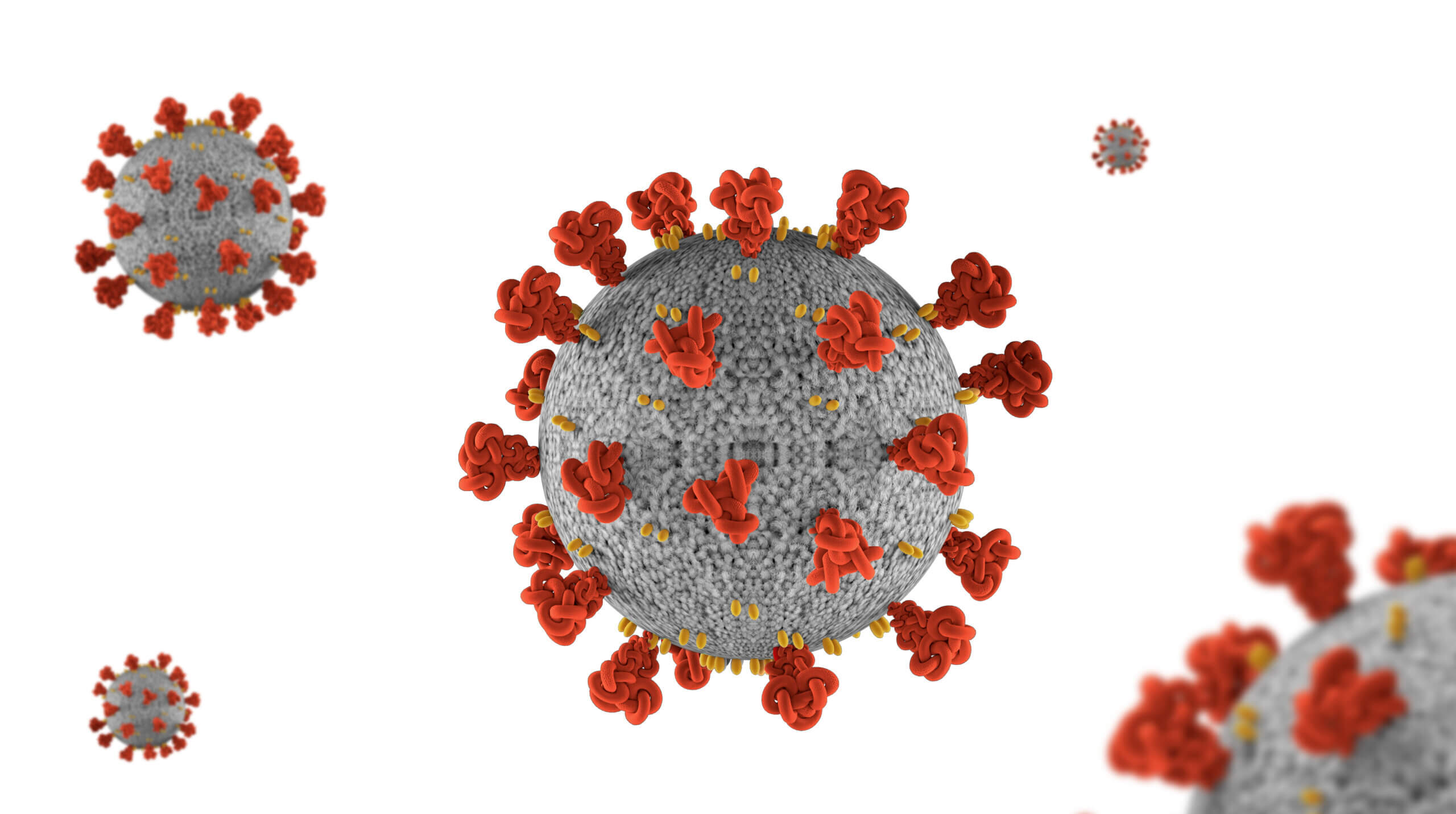 covid kp.2 variant corona virus