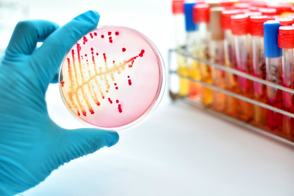 Microbiology Testing Services: Ensuring Safety and Compliance