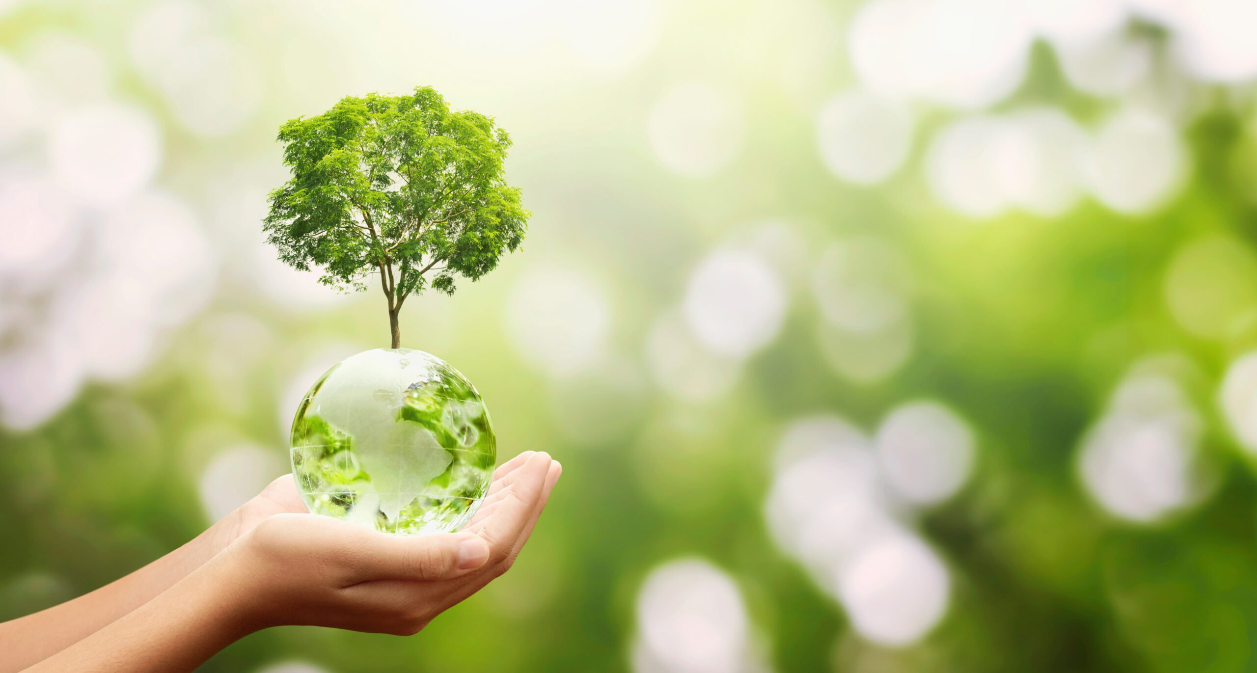 Advancements in Green Biocides: A Step Towards Sustainability