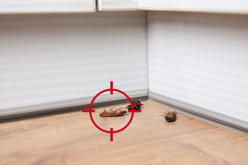 Health Risks Associated with Cockroaches and How to Mitigate Them