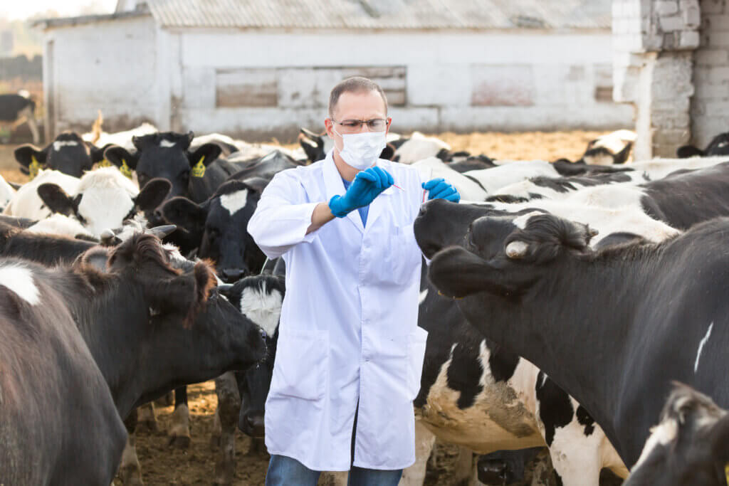 Unpacking the H5N1 Avian Influenza Outbreak in U.S. Dairy Cattle