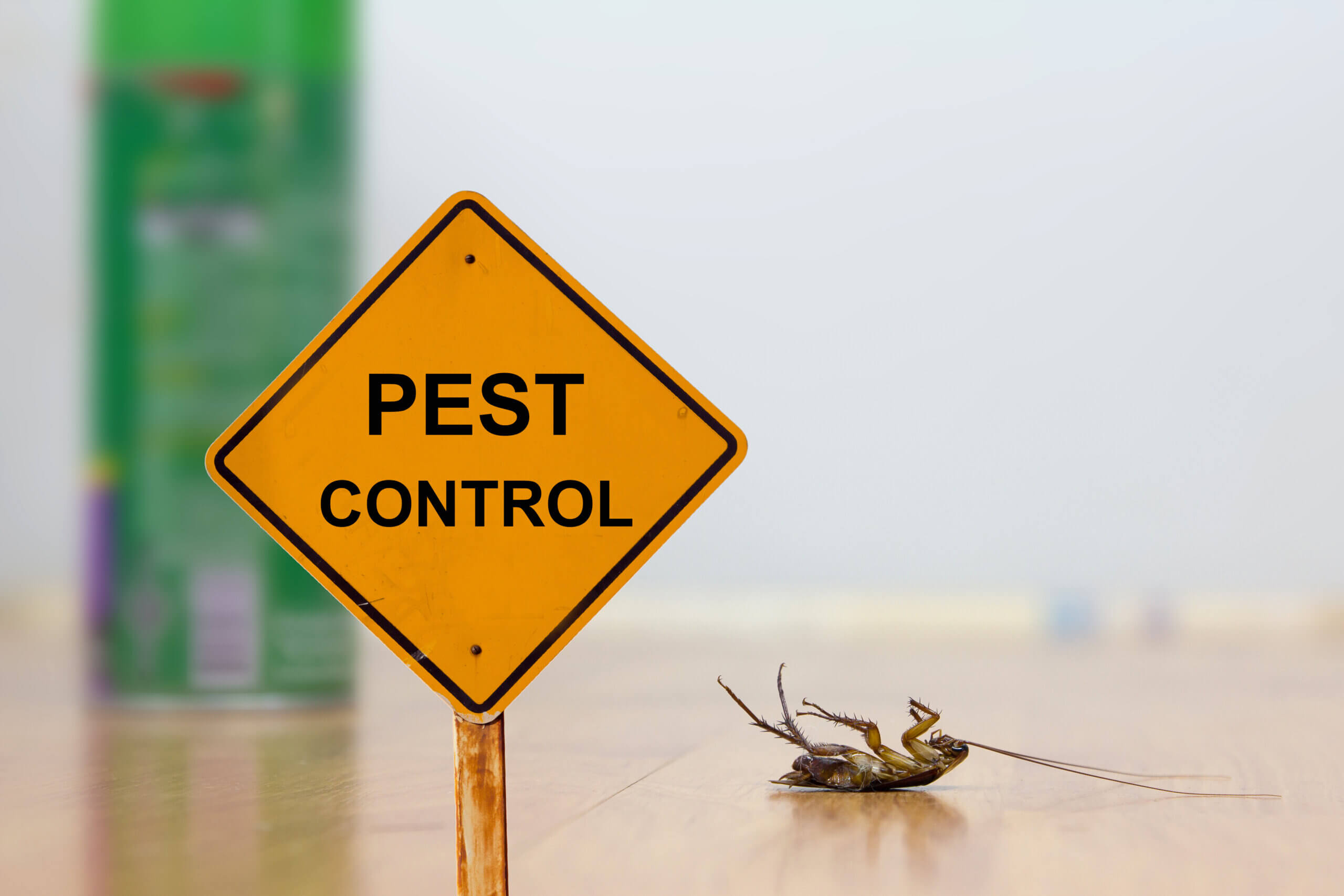 The Ultimate Guide to Choosing Cockroach Control Products