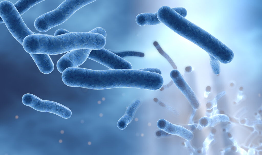 11 Facts About Legionella You Might Not Know