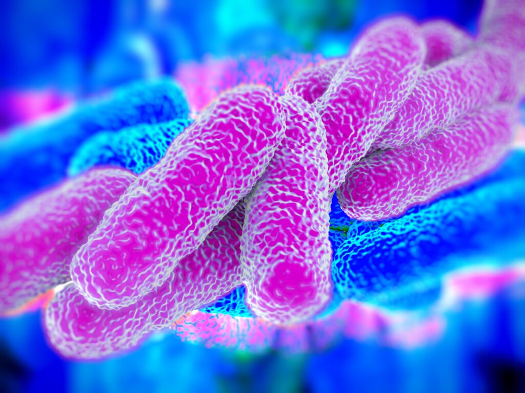 Biocides and Public Health: Reducing Legionella Risks in Water Systems