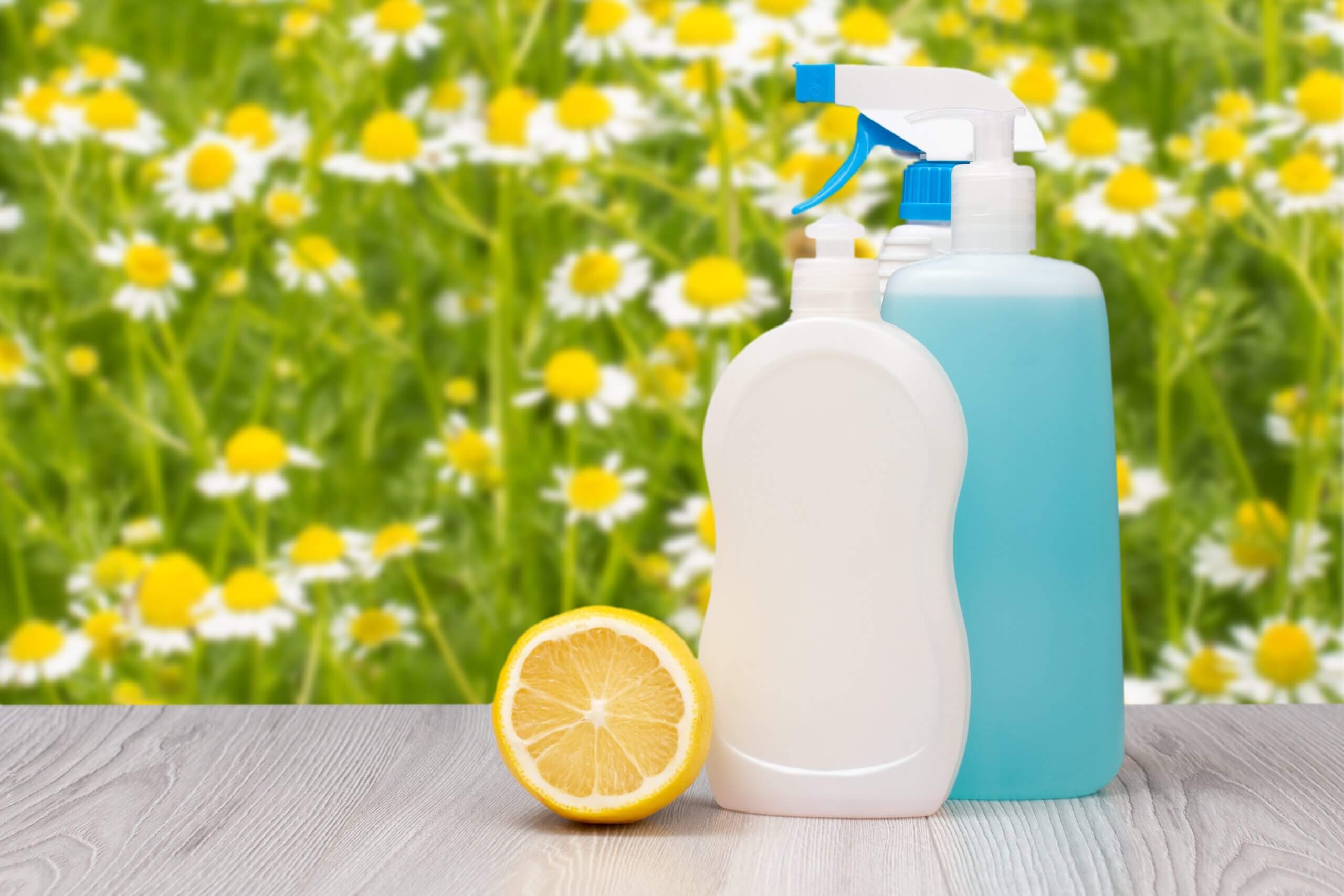 Challenges in Developing Disinfectants with Natural Ingredients