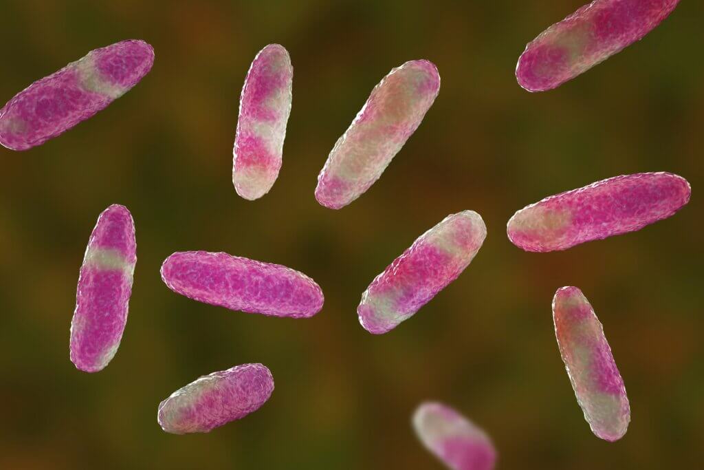 Epidemiology of Hypervirulent Klebsiella pneumoniae