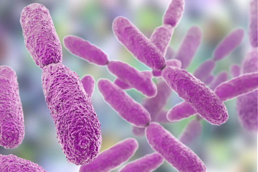 Antibiotic Resistance in Hypervirulent Klebsiella pneumoniae