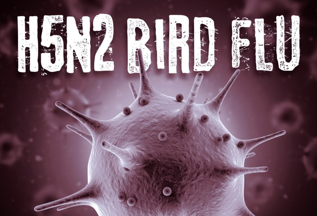 antiviral efficacy against H5N2