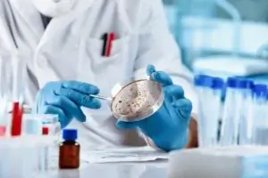 Lab Technician using Petri dish