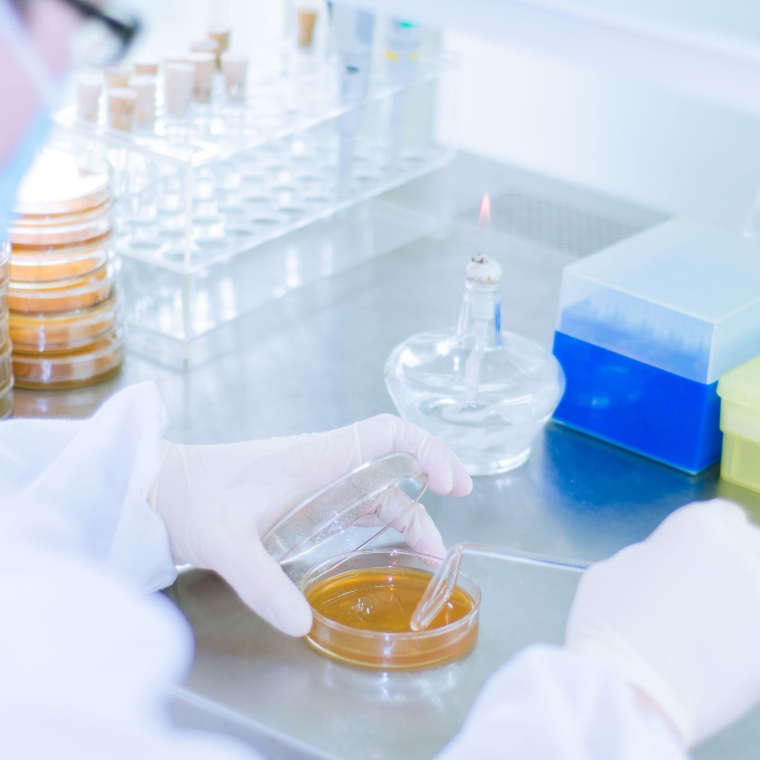 Cosmetic Testing Services for Safe Personal Care Products