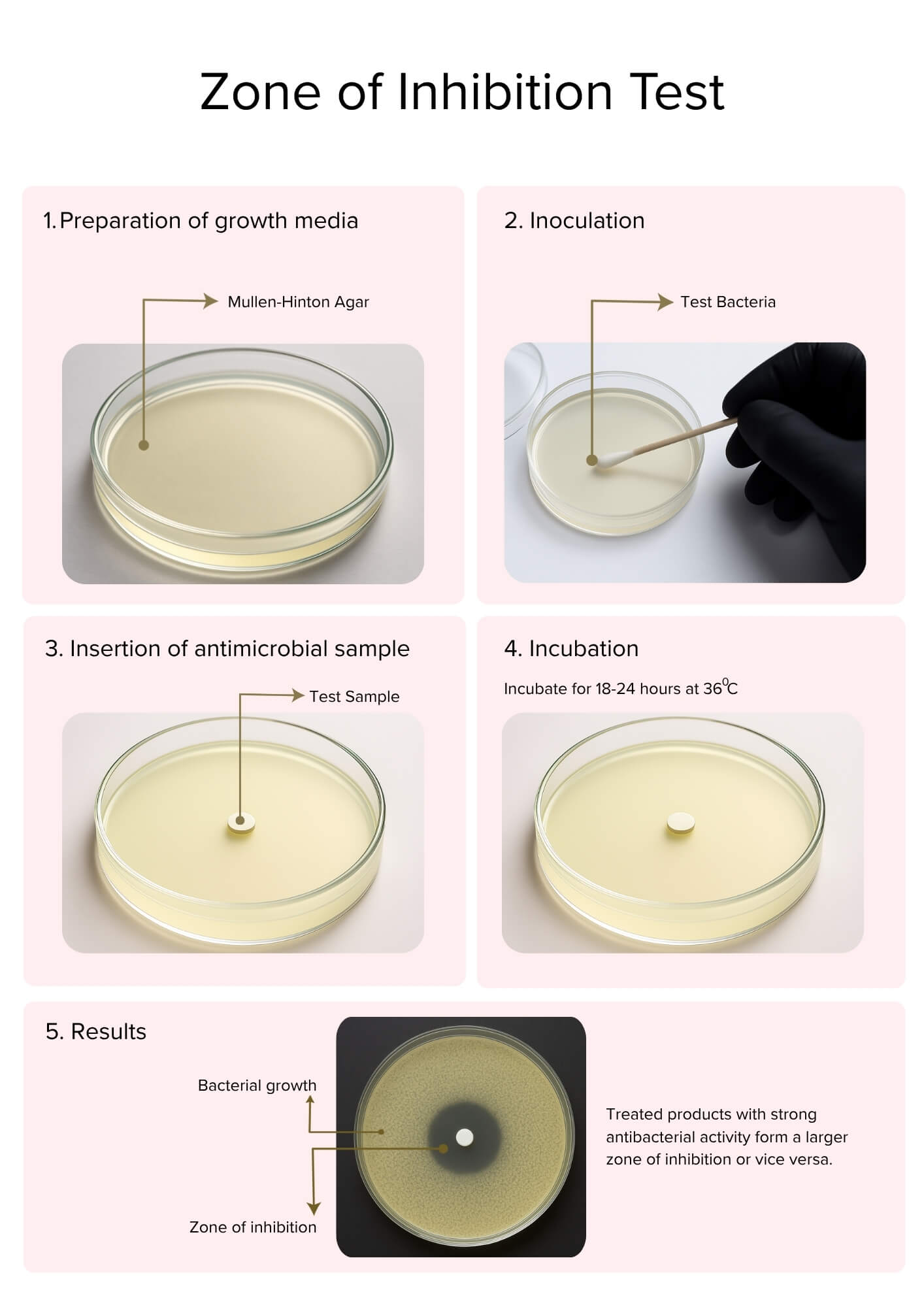 Zone of Inhibition Test