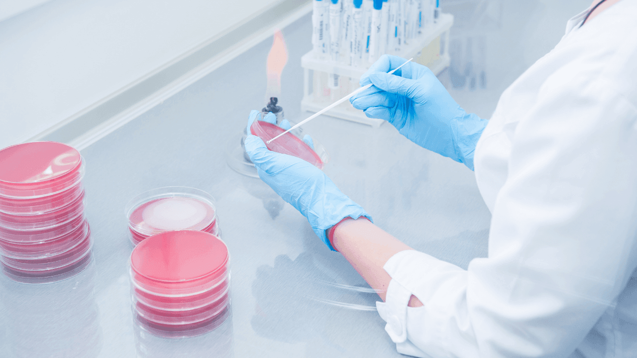 EN 14563 - Evaluate Mycobactericidal activity of Disinfectants