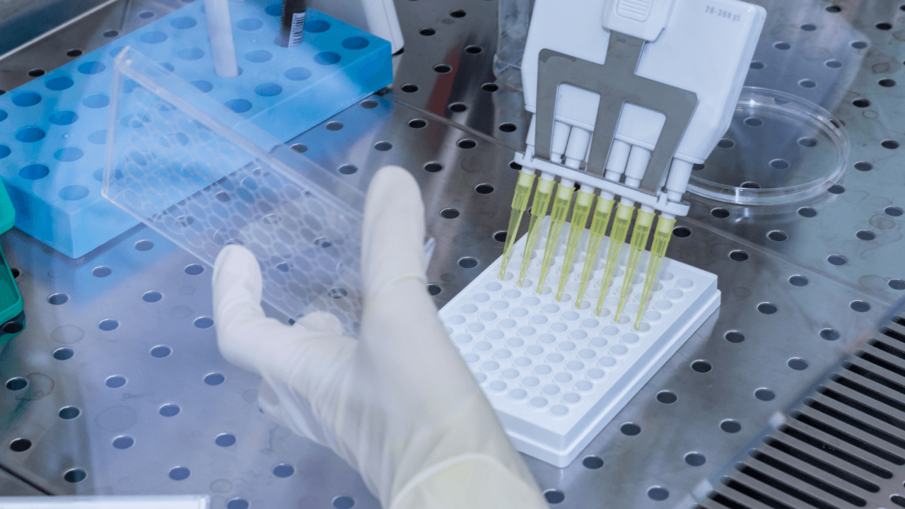 Minimum Inhibitory Concentration (MIC) Test | MIC Procedure & Protocol
