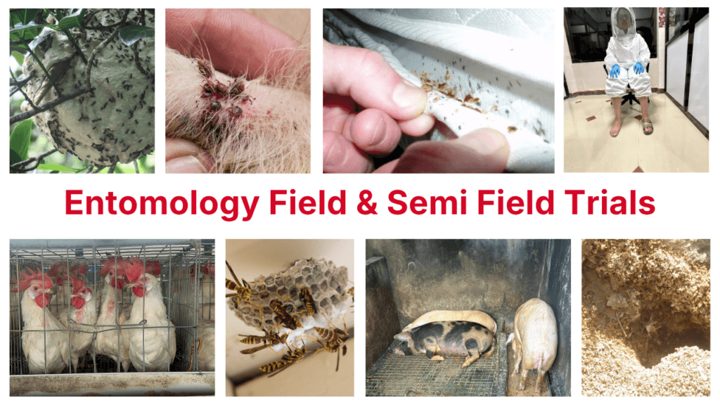 Field and semi field trials