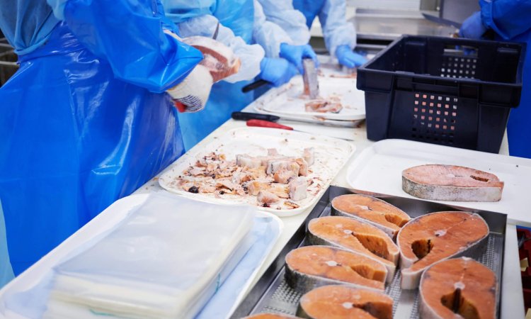 EN 14347: Testing Standard for Enhancing Safety in the Food Industry