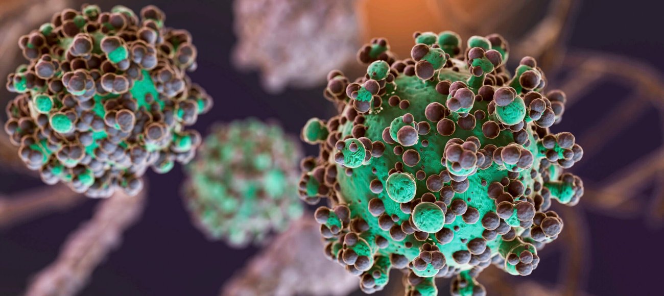 Feline Calcivirus