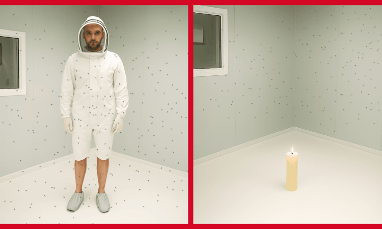 Room Test for Topical and Spatial Mosquito Repellents
