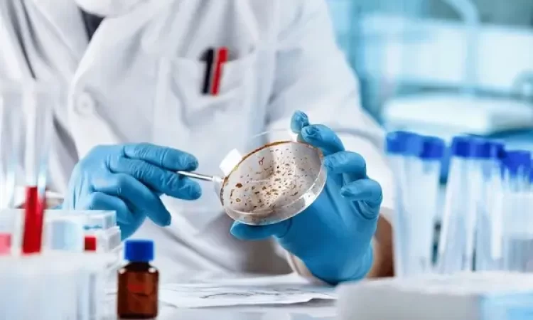 Lab Technician using Petri dish