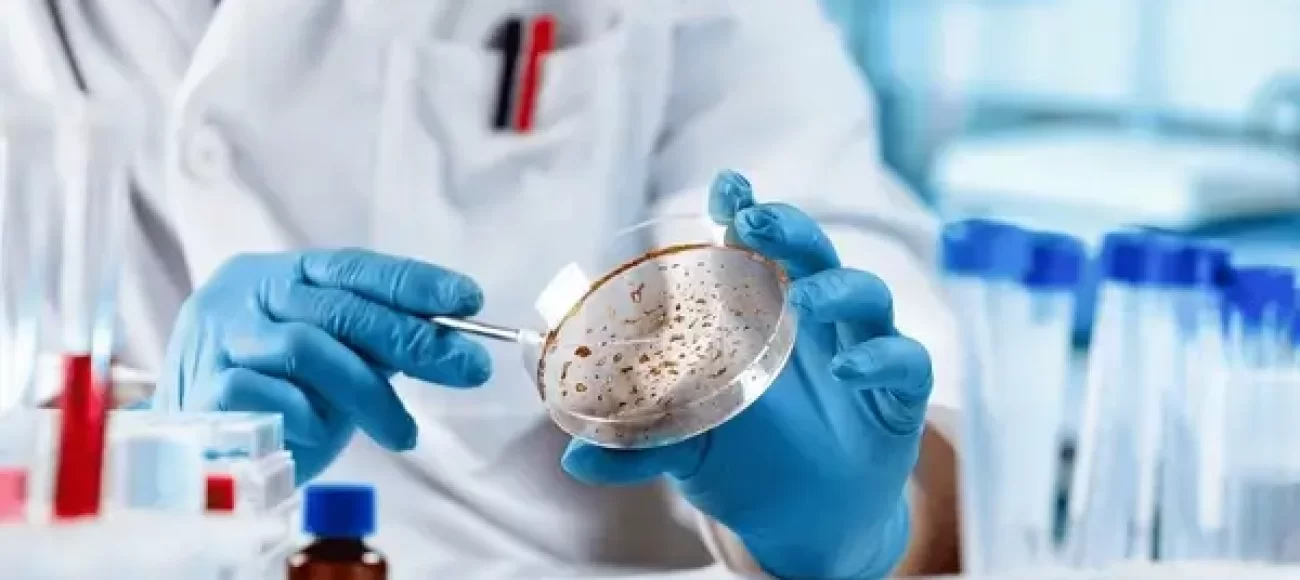 Lab Technician using Petri dish