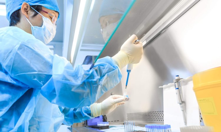 Scientist testing disinfectants in lab using EN1040 standard