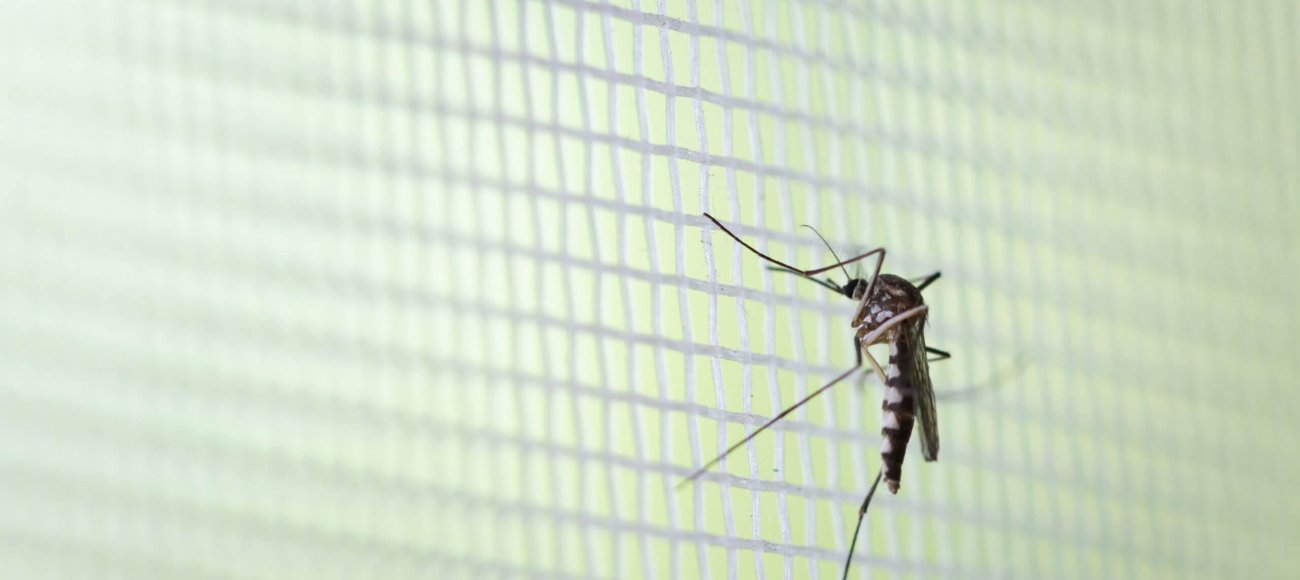 The Science Behind Arm-in-Cage Testing