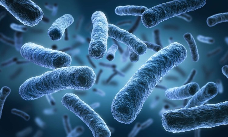 Economic Impact of Legionella Outbreaks and the Role of Biocides