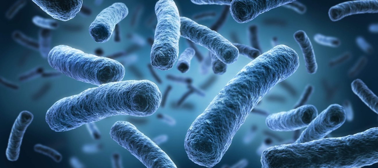 Economic Impact of Legionella Outbreaks and the Role of Biocides