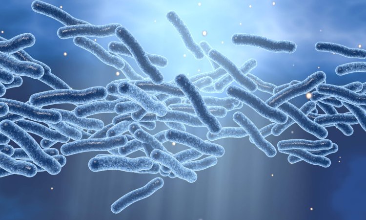 EN 13623: Ensuring Efficacy of Disinfectants against Legionella