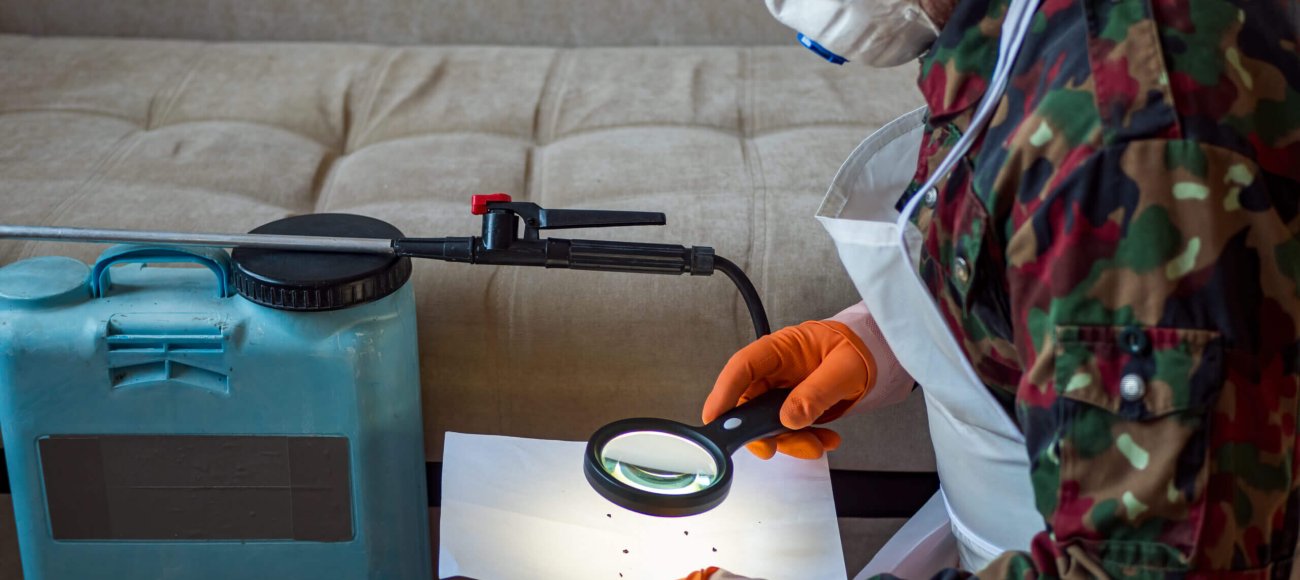Role of field testing and laboratory testing for bed bug biocide development