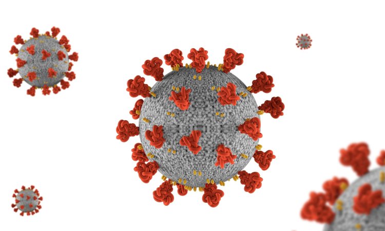 covid kp.2 variant corona virus