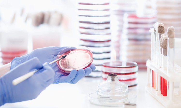 Why test your product as per the EN 14347 standard guidelines?