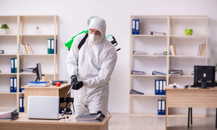 Use of EN 1040 tested disinfectants for enhancing workplace hygiene