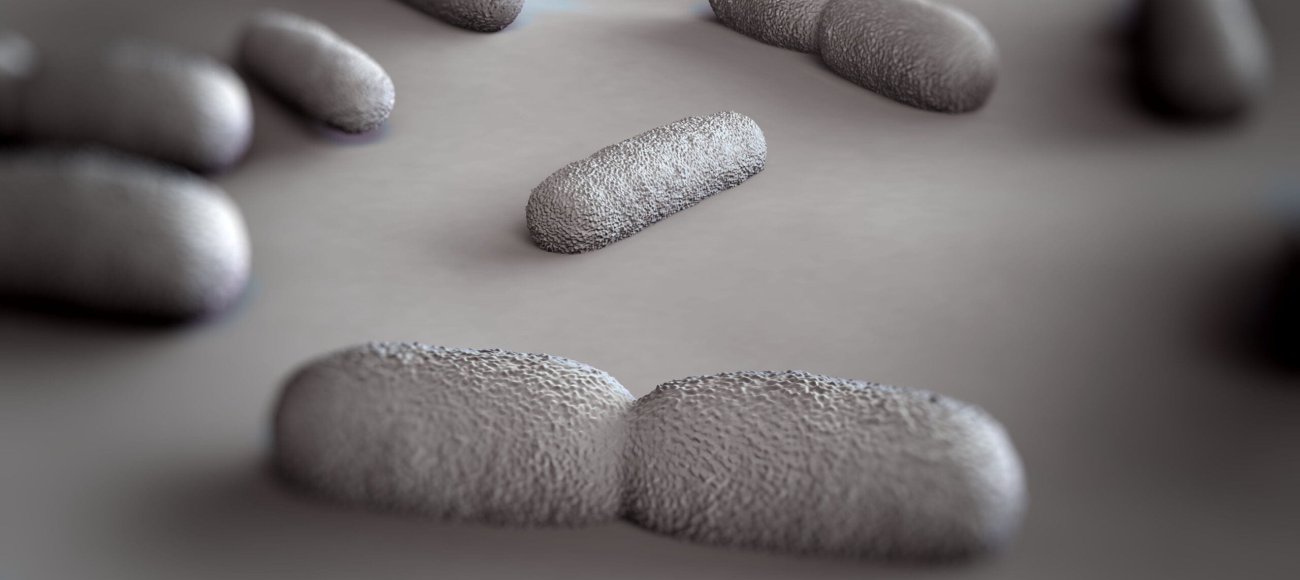 The Economic Impact of Listeria Outbreaks and the Value of Prevention