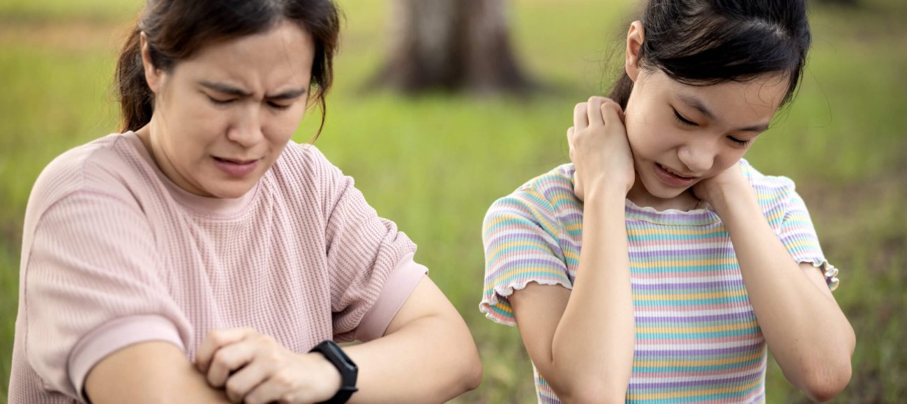Understanding Dengue Fever: Symptoms, Transmission, and Prevention