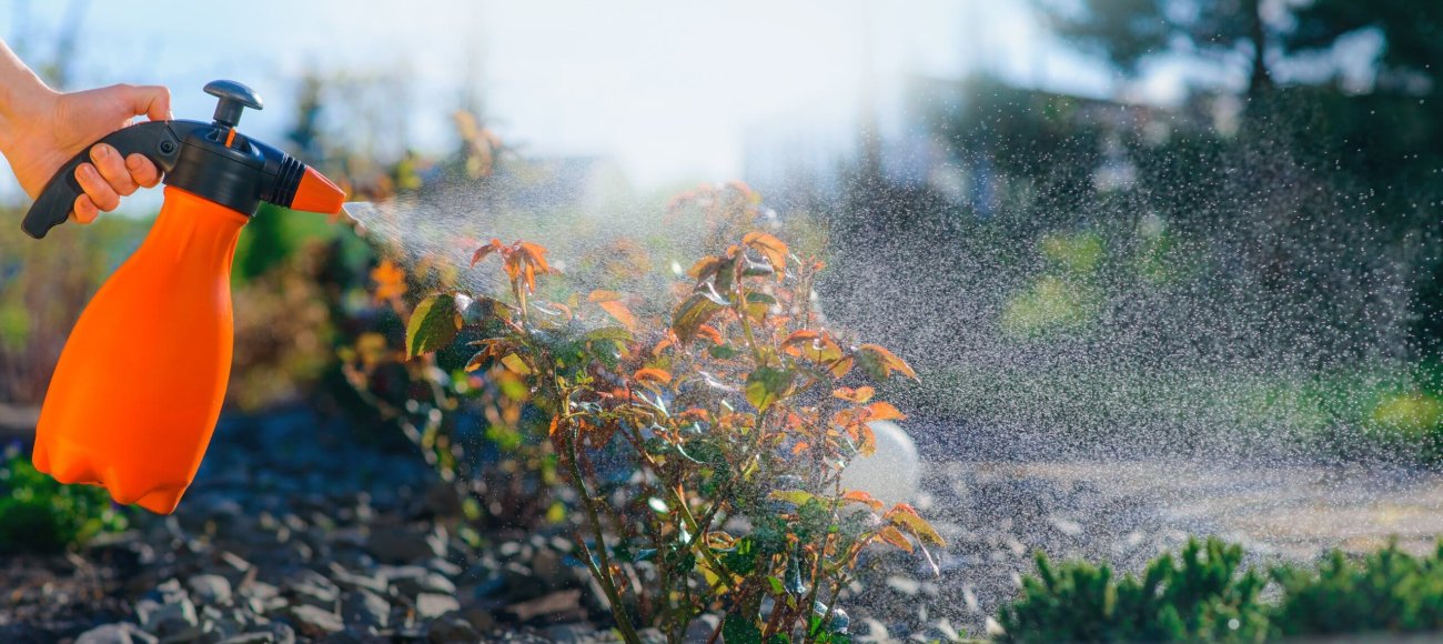Global Market Trends in Cosmetic Pesticides: Emerging Markets, Growth Opportunities, and Regulatory Changes