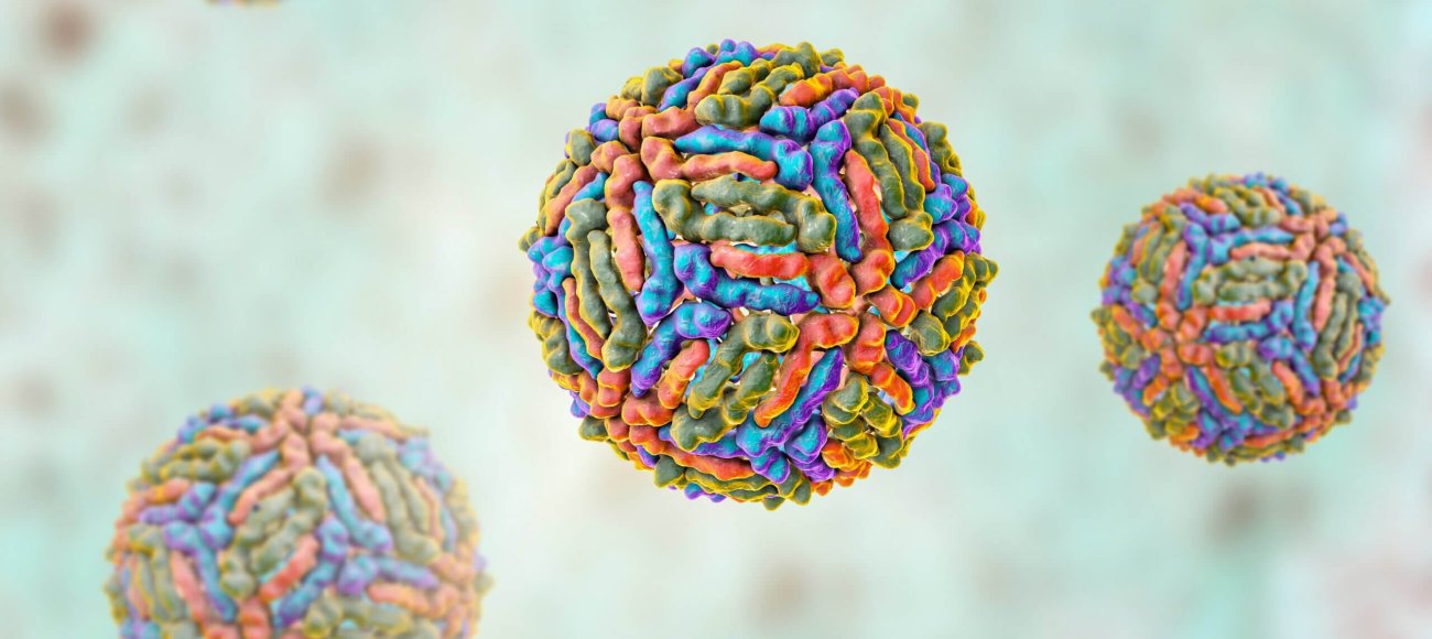 West,Nile,Virus,,Wnv,,3d,Illustration.,A,Virus,That,Is