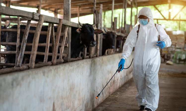 Male,Ppe,Protective,Clothing,,Spraying,Disinfectants,And,Viruses,In,A
