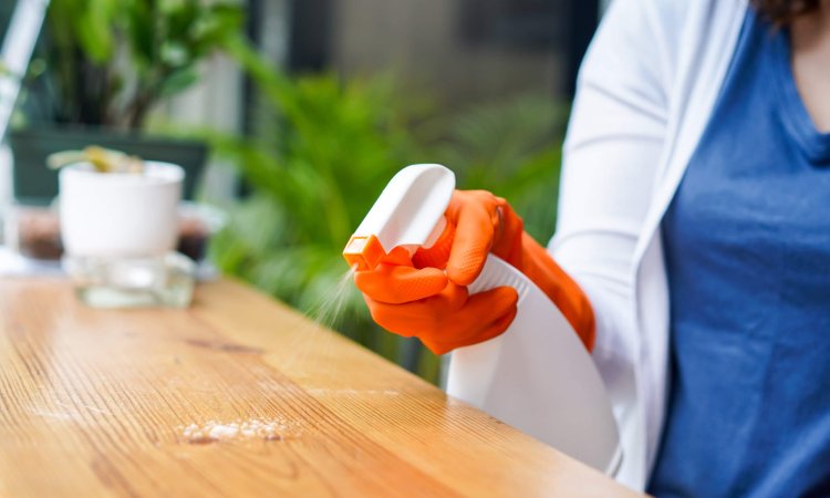A,Woman,In,Gloves,Is,Cleaning,The,Countertop,Using,A
