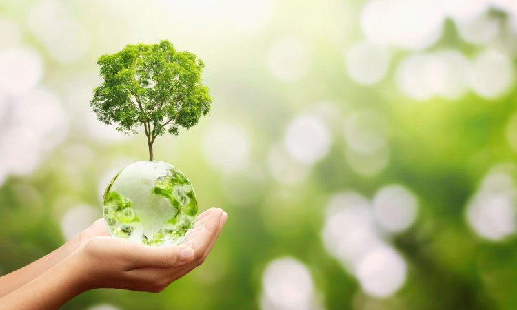 Advancements in Green Biocides: A Step Towards Sustainability