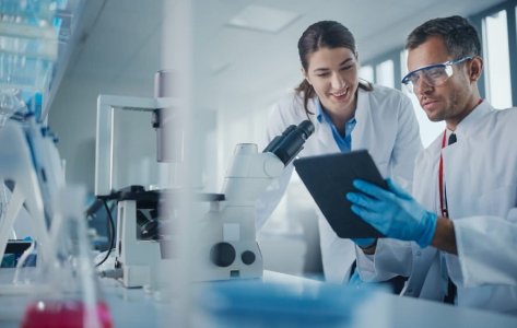 How to Choose the Right Testing Method for antifungal disinfectants and products used against Trichophyton mentagrophytes