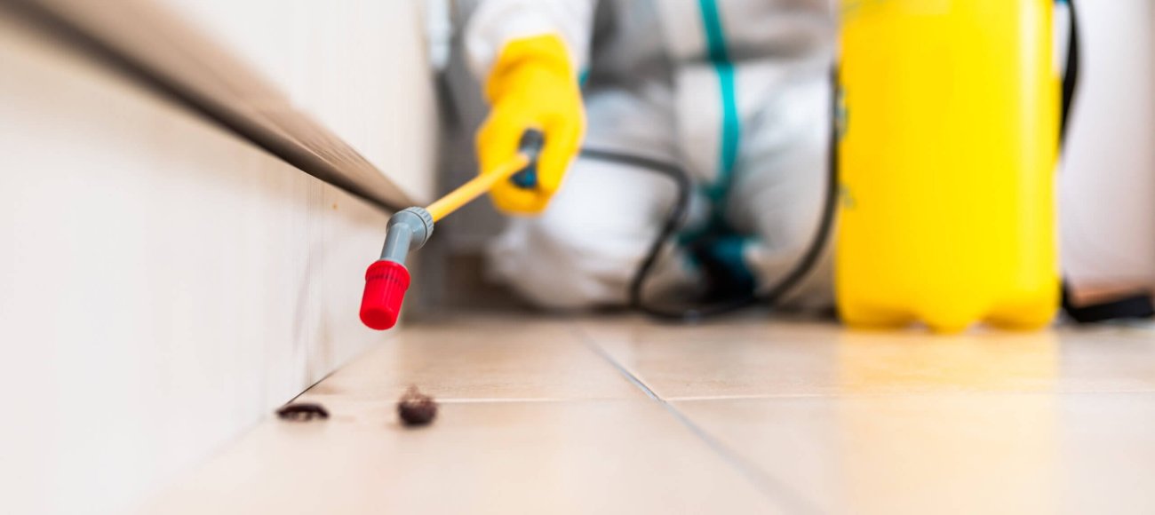 What are the Factors that Influence the Effectiveness of Insecticides?